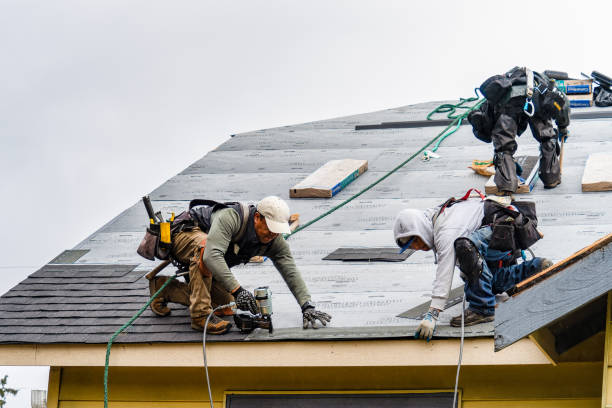 Professional Storm Damage Roof Repair technician working in Clyde, NC